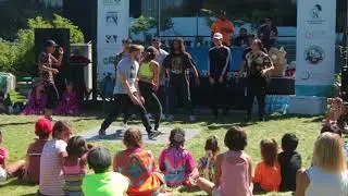 Sol Tribe Performance 2017
