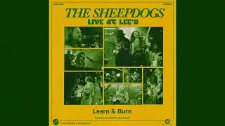 The Sheepdogs - Learn & Burn (Live at Lee's) - Visualizer
