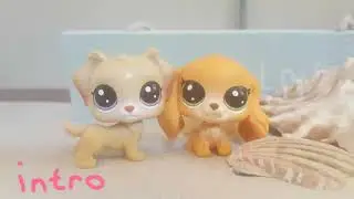 7 years old lps mep