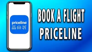 How To Book a Flight on Priceline (easy)