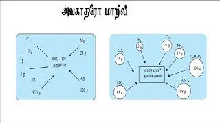 Quantification of elements and compounds
