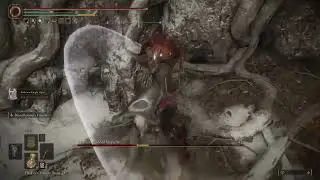 Malenia - Level 140, Dex (Elden Ring)