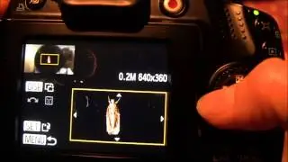 Canon Powershot SX40 HS Tutorial: Step Thirty One - Editing on the camera