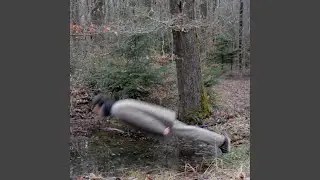 KAOS