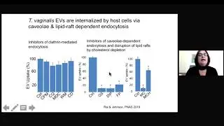 Host parasite interactions between the sexually-transmitted parasite T. vaginalis and its human host