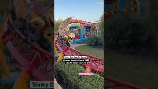 My Most View Video of 2025 #slinkydogdash #dog #rollercoaster #disney #fast #ride #toystory