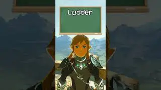 Ladder Launch 101 | Breath of the Wild Glitches