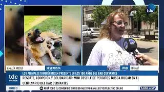 FIRMAT | LOS ANIMALES TAMBIÉN DICEN PRESENTE EN LOS 100 AÑOS DEL BAR CERVANTES