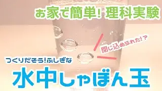 【家で簡単実験】閉じ込められた 水中しゃぼん玉