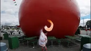 Matt Robidoux &mdash; Shrimp Dance