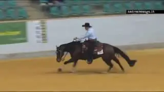 Franco Bertolani - Elvis Peppy Gold (NRHA European Futurity - Open GO 1)