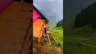 Kund Banda l Jehazbanda l Kumratvalley l Dir Upper KP l Pakistan 🇵🇰 #kumratvalley #jehazbanda #thal