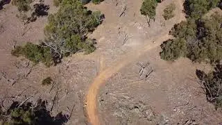 Echidna Trail Walyunga national Park