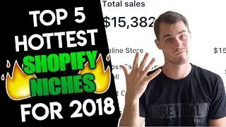 Top 5 Most Profitable Niches For Shopify Dropshipping And Print On Demand - In 2018