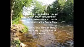 Places to Fish In Michigan: The Rockford Dam