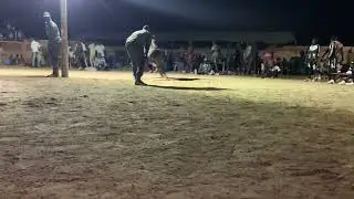 Madjib écrase son adversaire à nghadior 