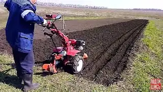 ✔️фрезерование / посадка ранней картошки мотоблоком/Planting early potatoes with a tillerblock