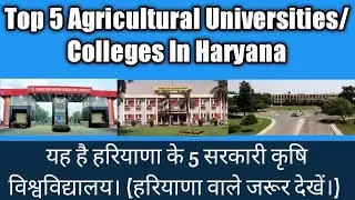 Top 5 Best Government  Agricultural Universities /Colleges In Haryana | favorite 5 list