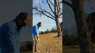 Low Punch shot Under the tree to the green. #golf #golfswing #golfer #punchshot