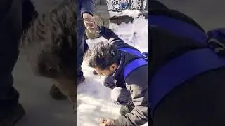 #enjoy Shimla snowfall #Virubhai #Virubhai999 #shimla