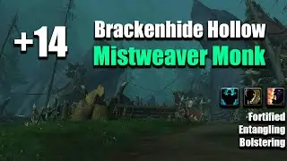 +14 Brackenhide Hollow | Mistweaver Monk POV | Dragonflight Season 2