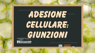 Adesione e strutture cellulari: giunzioni-parete cellulare-matrice extracellulare