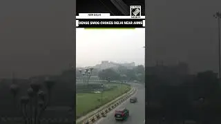 Heavy smog continues to grip capital; visuals from AIIMS highlight worsening air quality