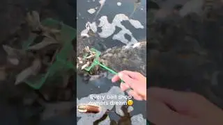 Every bait shop owners dream🥹