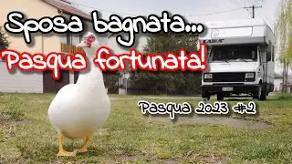 Sposa bagnata... Pasqua fortunata! Pasqua 2023 in Ungheria Ep.2