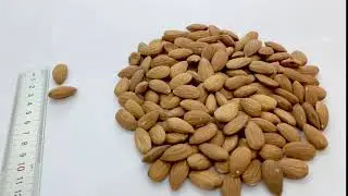 Olam Almonds - Nonpareil Supreme 23/25 available on OlamNuts.com