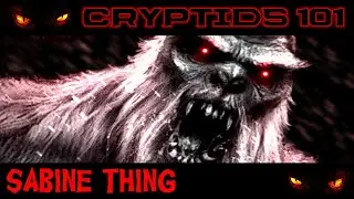 CRYPTIDS 101 🐾 The Sabine Thing 🐾 