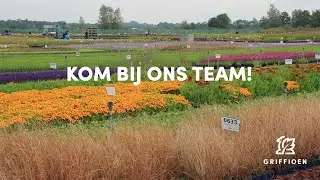 Griffioen Wassenaar - ons bedrijf