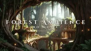 Forest Day Ambience 🌿 | Peaceful Bird Sounds & Nature Atmosphere (No Music)