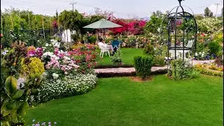 Visit to a beautiful Rose garden in Islamabad Pakistan
