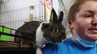 Why Adopt from the House Rabbit Society?   Take the Bunny 101 Course!