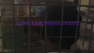 PETTA TEASER REMAKE THALAIVAAA PETTA VELAN VERSION