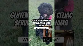 How does a Nima Sensor Compare to a Gluten Detection Service Dog? This is just a fun video, but it