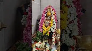 nariyal Purnima festival