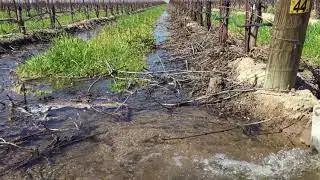 Groundwater Recharge