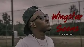 Wingstar - Seems  (official music video) HD