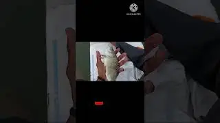 Exploring Remote Fishing Locations Few Dare to Try