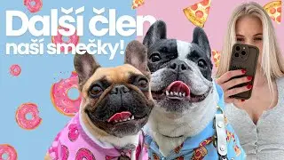VLOG | Buldočí smečka se rozrostla!🐶ྀི🐶ྀི