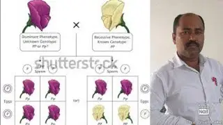 Genetic: Chapter 5 by AK PANDEY SIR (PART. 4)