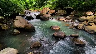 Calm Flow River Sounds for Focus, Study, Meditation & Relaxation