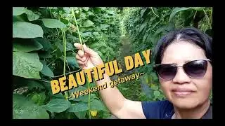 10 Benefits of STRING , YARDLONG BEANS ( sitaw ) , and Side Effects ! | Overall Health Benefits