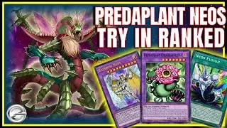 🌟 Predaplant HERO Deck Build &ndash; Secret Weapon for Duel Links Ranked