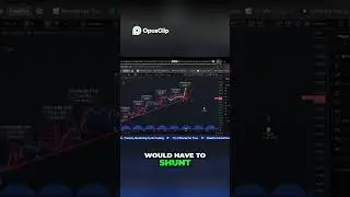 Crypto Cycle Low: Are We About to Moon?! #trading #bitcoin #crypto #finance #investing #stockmarket