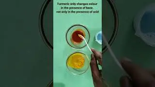 Turmeric as Indicator-Acid, Base and Neutralisation Reaction #science #experiment