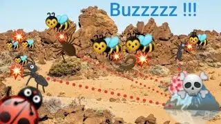 Hunting Hornets: Ants Underground Kingdom tips tutorial gameplay barren land