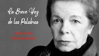 La Breve Voz de las Palabras. 